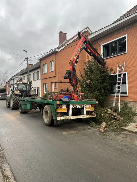 Évacuation d'un arbre à la grue