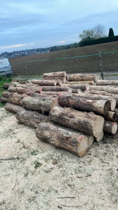 Grumes après abattage