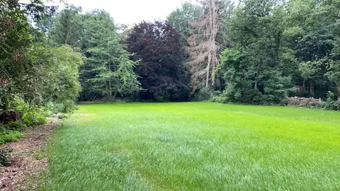 Jardin remis en état